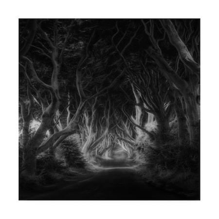 Saskia Dingemans 'The Dark Hedges Bewitched' Canvas Art,14x14